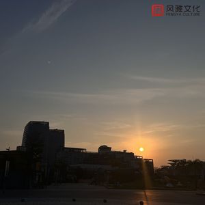 航空阿姨最刺激最刺激的美女黄色网
