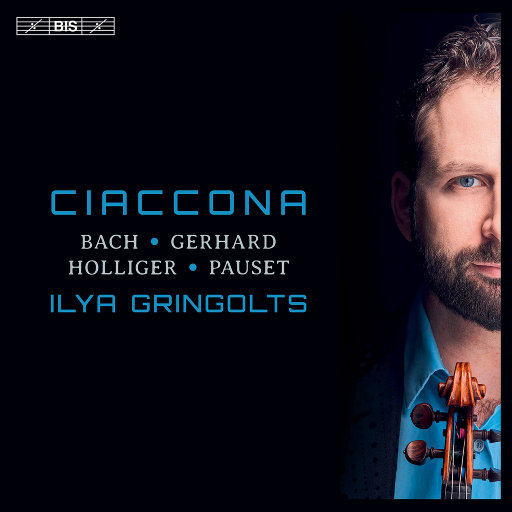 航空阿姨最刺激最刺激的美女黄色网
